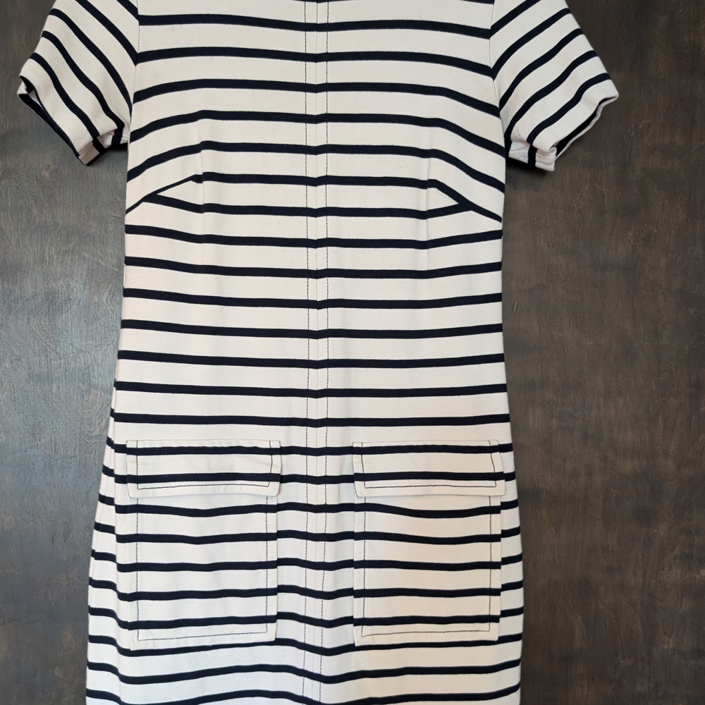 BR Striped Black and White Dress